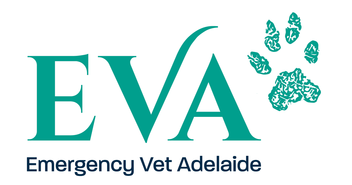 Emergency Vet Adelaide storefront